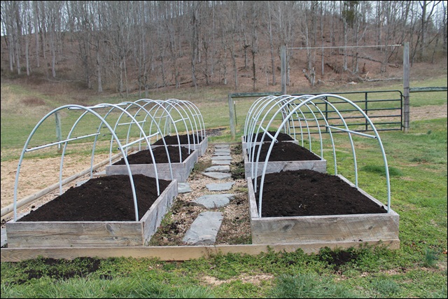 Raised Beds in March
