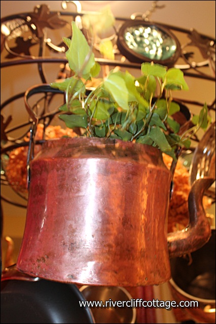 Pot with Plant