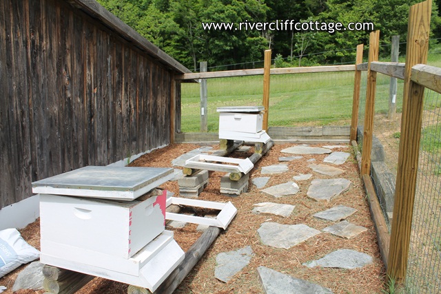 Apiary in May