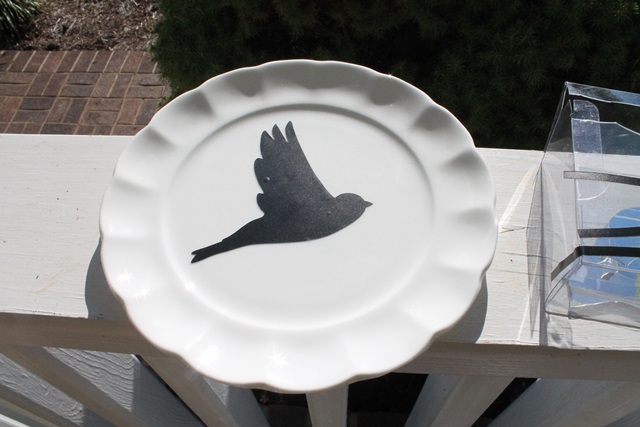 Bird On Plate