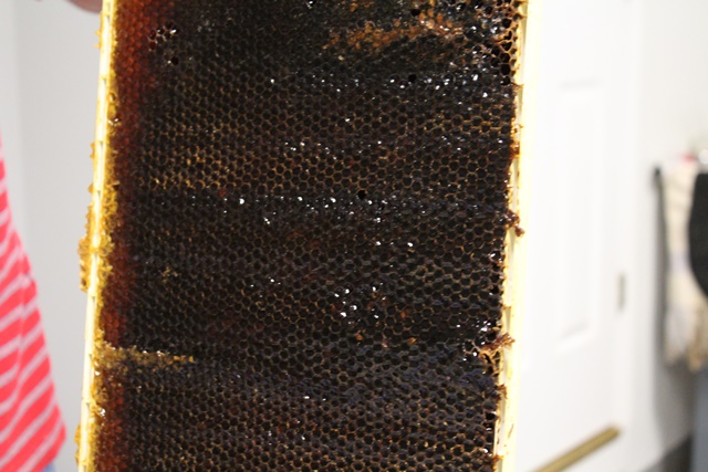 Black honey