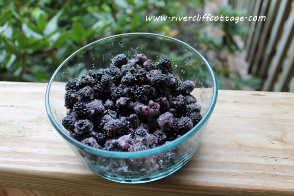 Blackberries With Sugar