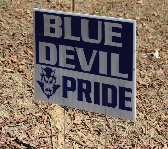 Blue Devil Price