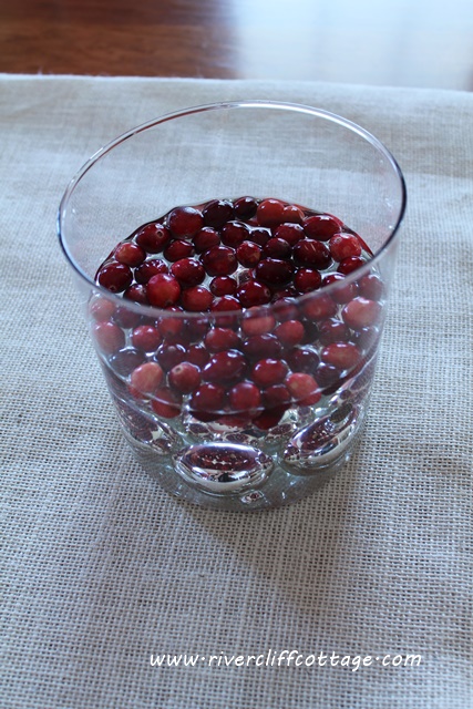 Cranberries in the Vase