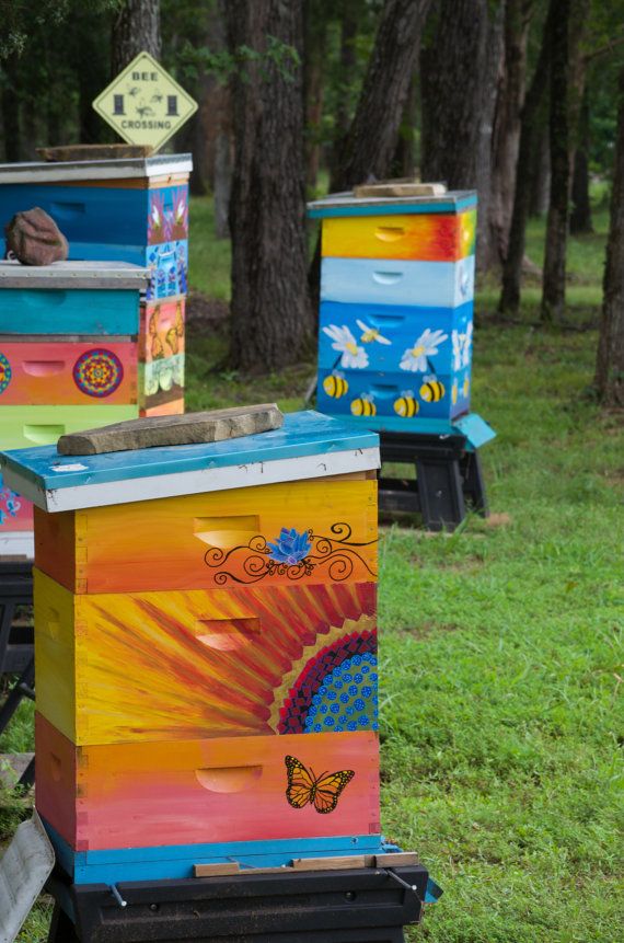 Painted Bee Hives