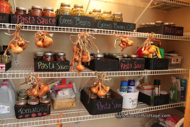 Pantry With Onions