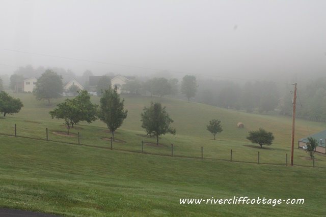RiverCliff in Fog