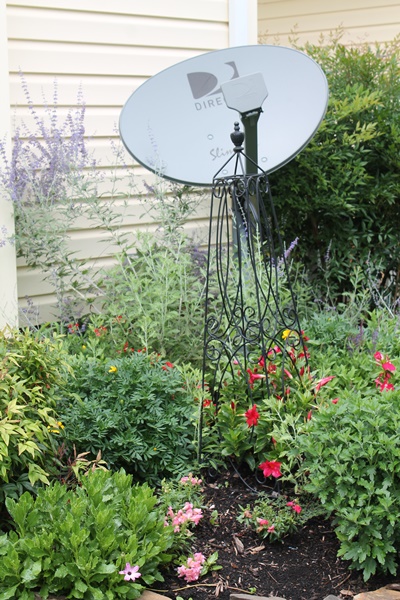 Side Garden with Dish