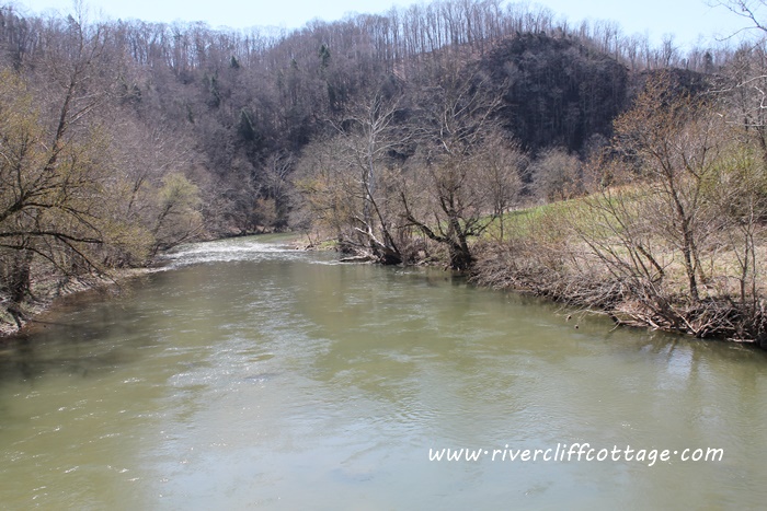 Tressel View River
