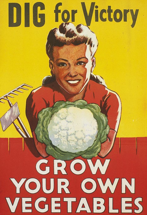 Dig For Victory  Grow You Own Vegetables
